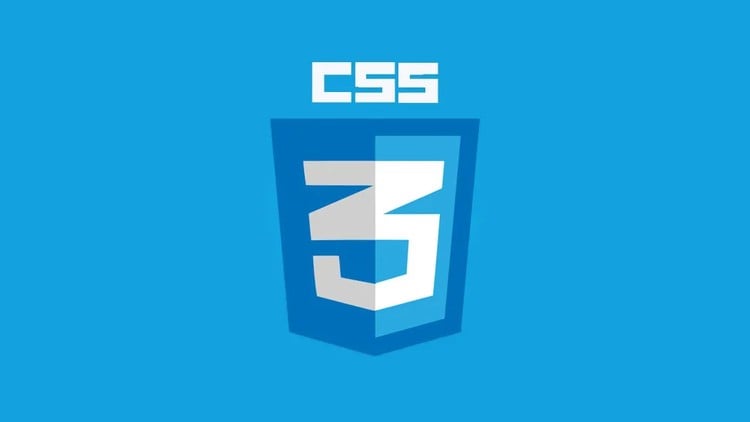 Read more about the article CSS – Complete Guide Scratch Animation Flexbox Grid Sass