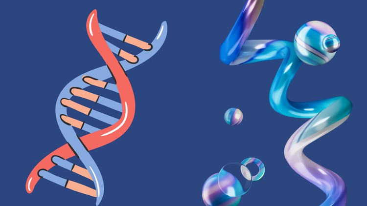 (Nucleic Acid Structure and Organization)