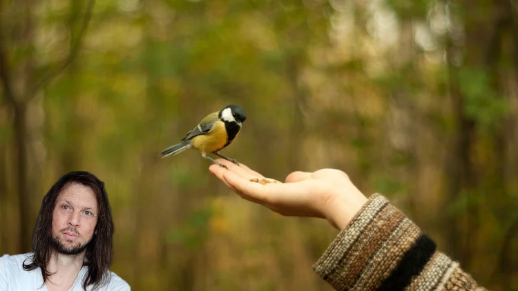 Read more about the article Trust: Learn to Let Go and Love Life