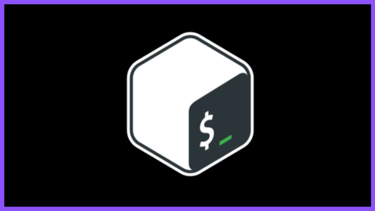 Read more about the article Bash Shell Scripting Bootcamp: 10 Project-Based Learnings