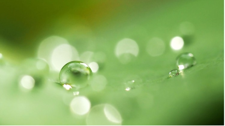 Read more about the article Congruence of Triangles