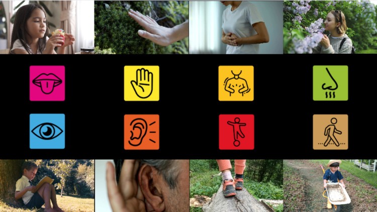 Read more about the article Discover Sensory Processing and Integration