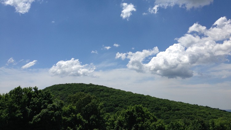 Read more about the article Guided Reset: Yoga Nidra + Journal Practice