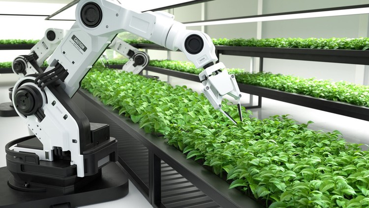 Read more about the article Introduction to Smart Farming and AI in modern agriculture