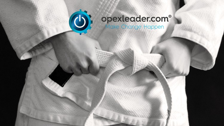 Six Sigma: Lean Six Sigma White Belt (Accredited)
