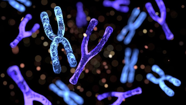 Read more about the article DNA Mutation & Genetic Disorders