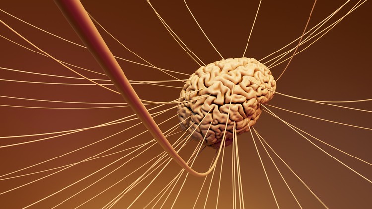 Read more about the article Emotional Intelligence Skills Training certification