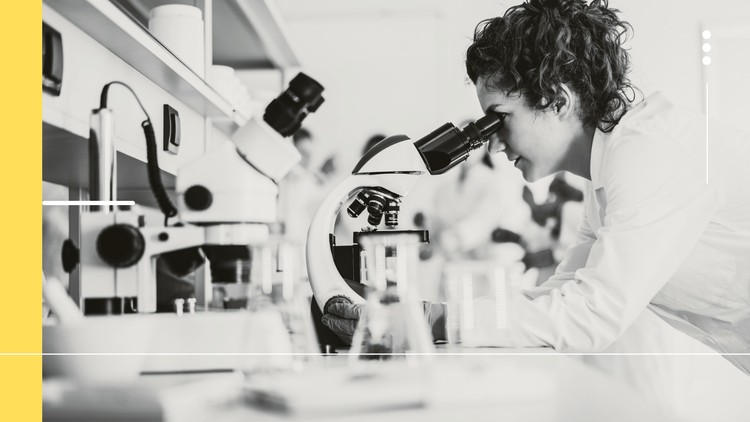 Read more about the article Faculty Development Program in Research and Innovation