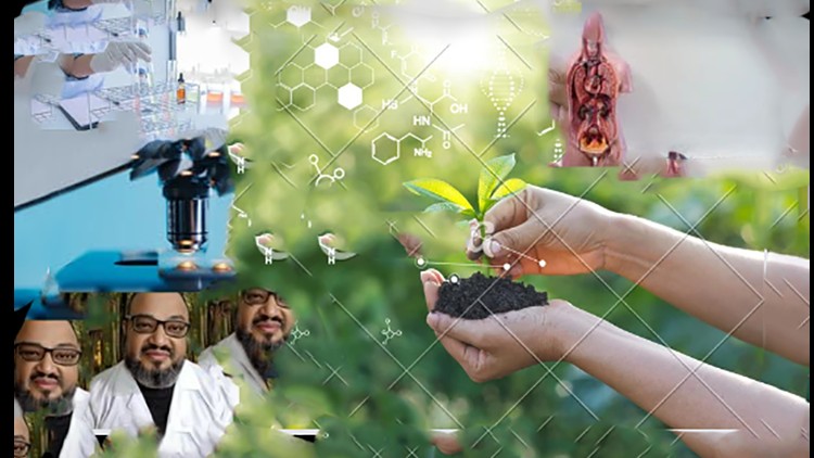 Introductory Biology for college students