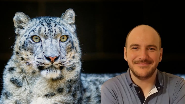 Read more about the article Movie Scene Creation with Free Generative AI Text to Video 1