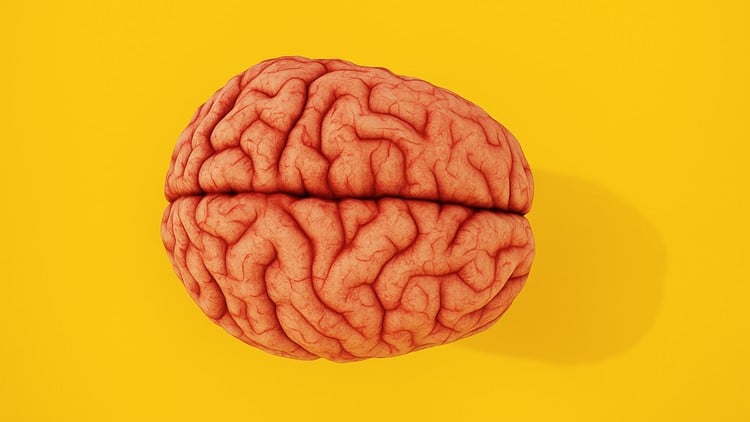 Read more about the article NLP for Success: Rewire Your Mind for Confidence and Focus