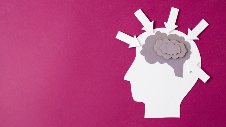Read more about the article Neuroplasticity Ultimate Course