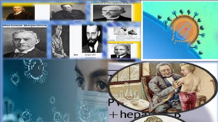 Read more about the article human virology for college students