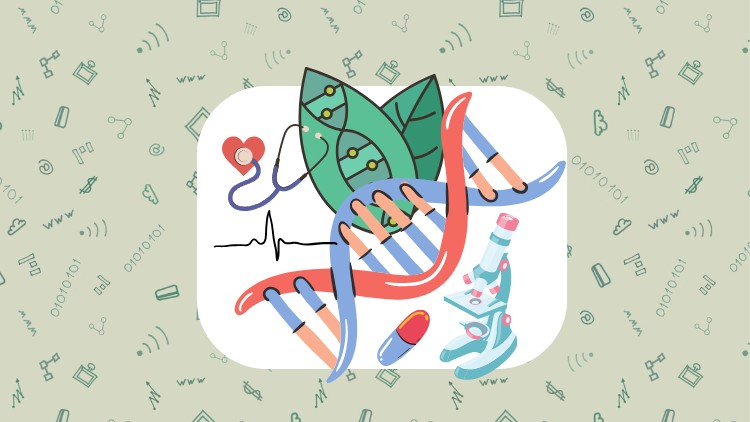 Chemistry of Life – A Foundation in Biology for High School