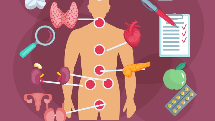 Read more about the article Diploma in Endocrinology