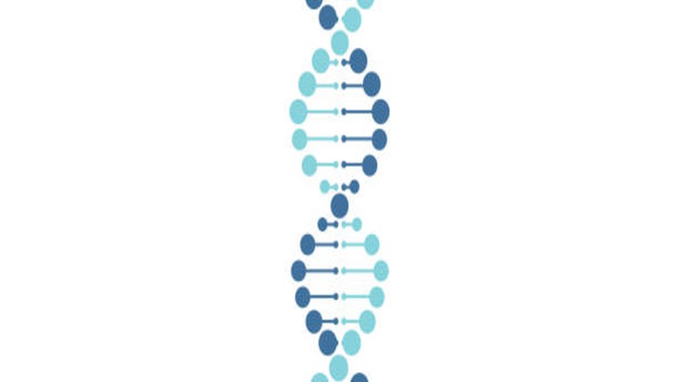 Read more about the article Genetics For Dummies: Learn The Basics