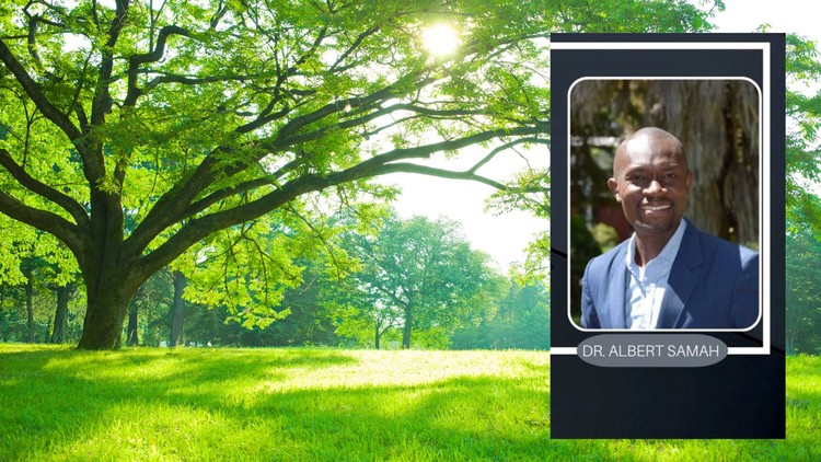 Read more about the article Maturity: Building Resilience in Personal Growth