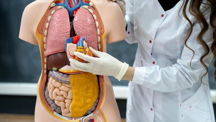 Medical Terminology for Medical Coding, Billing & Healthcare