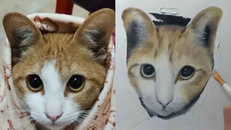 Read more about the article Painting a Cat