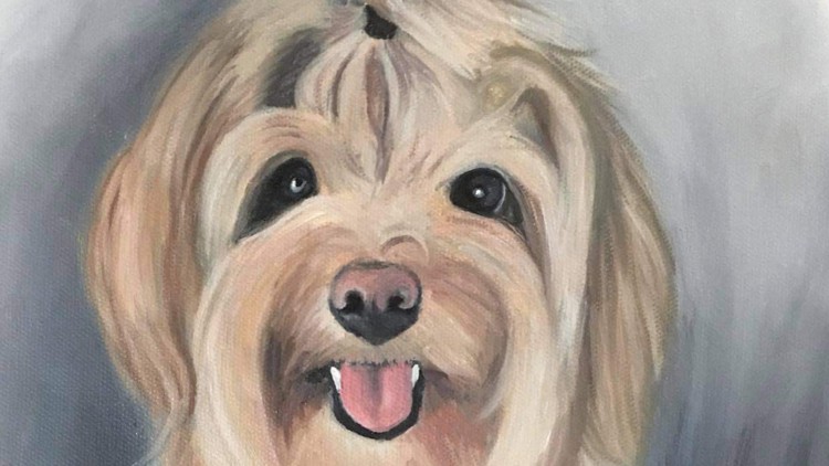 Read more about the article Painting a Chipoo Dog