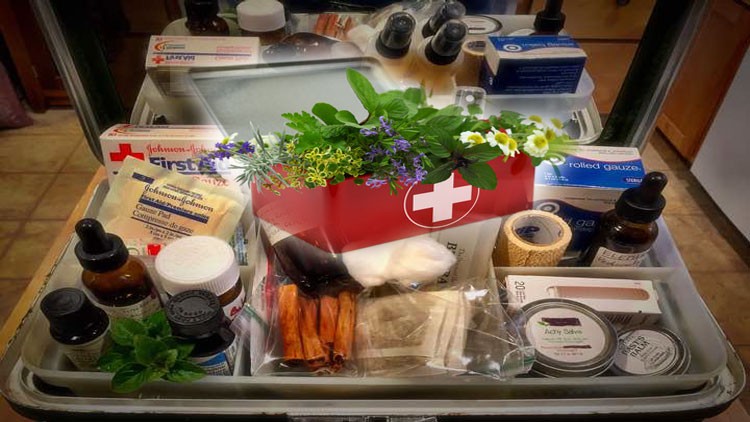 Read more about the article Certificate In Herbal First Aid & DIY Herbal First Aid Kit