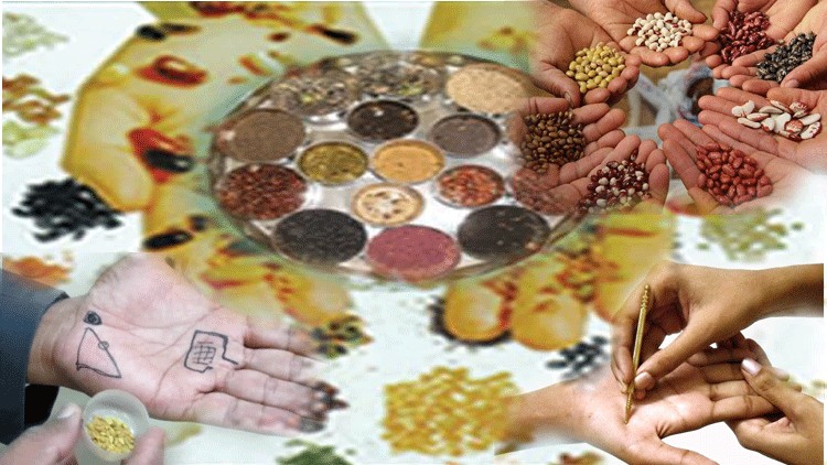 Read more about the article Certificate In Su Jok Seed Therapy