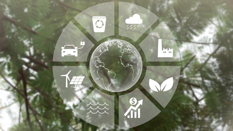 Read more about the article Introduction to Sustainable Supply chains