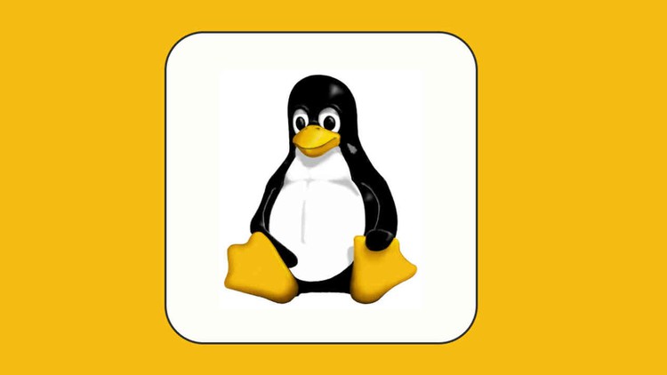 Read more about the article Learn Linux and prepare for Job Interview
