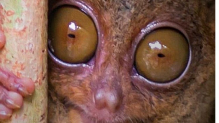 Read more about the article The Adaptive Startup System: Build a Business That Fits You