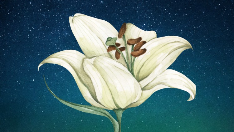 Read more about the article A Course in Miracles – 'Course Cosmology' Series