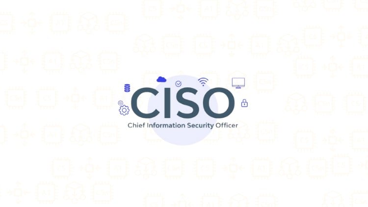 Chief Information Security Officer Practice Exams