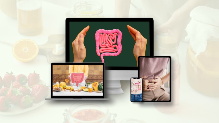 IBS Success Plan