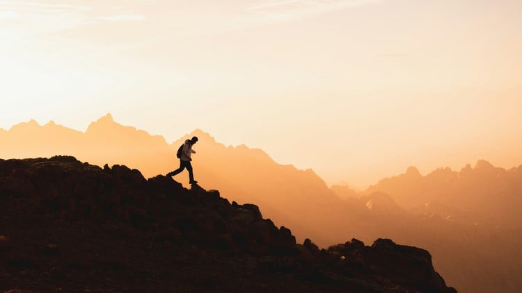 Read more about the article Leadership Certification and Team Management Skills Training