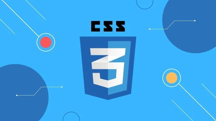 Read more about the article Learn CSS from Scratch : CSS for Beginners 2025