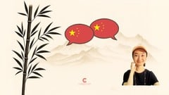 Mandarin Chinese Grammar Masterclass for Beginners: Course 1