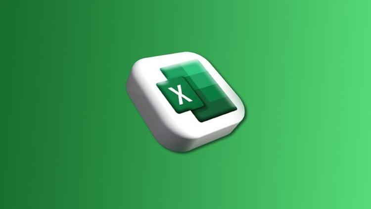 Microsoft Excel for Beginners: Excel for Everyday Use