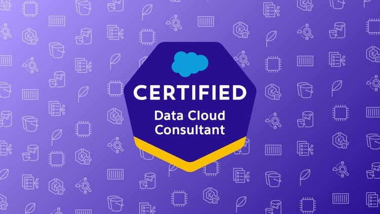 Read more about the article Salesforce Certified Data Cloud Consultant Practice Exams