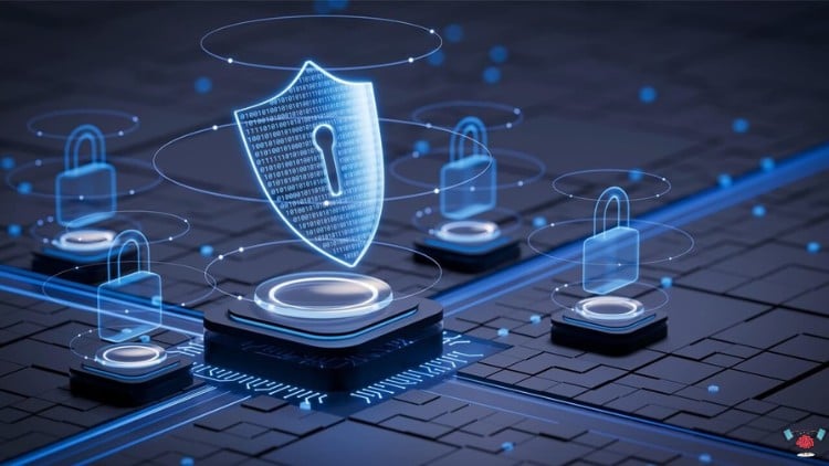 Certified Cybersecurity Technician Practice Exams