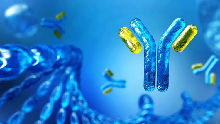 Read more about the article Immunotechnology Online Course