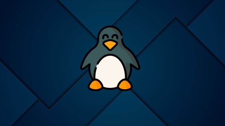 Read more about the article LPIC-1 (101-500) Practice Tests & Answers