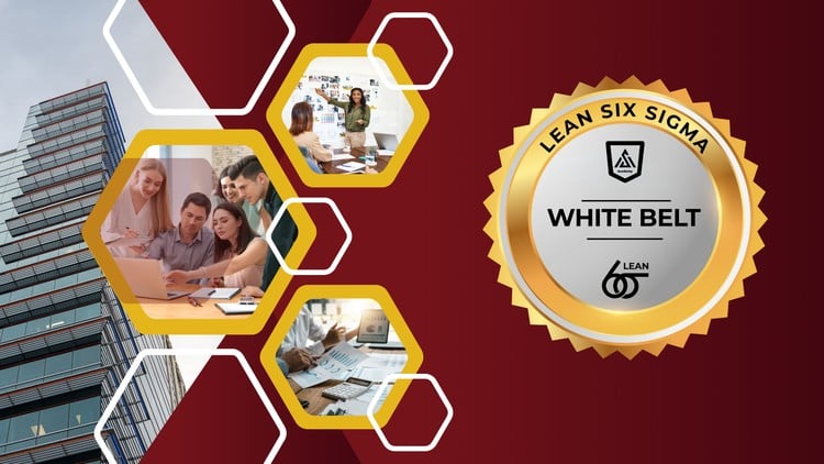 Lean Six Sigma White Belt: Quality Improvement Basics -Hindi