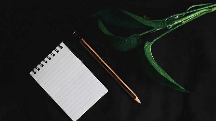 Read more about the article Management Skills Certification: Become a Better Leader