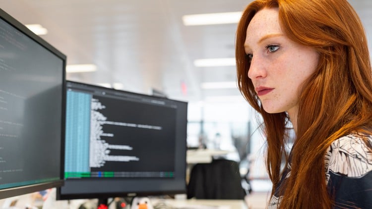 Read more about the article Prompt Engineering Professional Certification