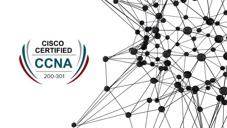 CCNA (Cisco Certified Network Associate) Practice Exams 2024
