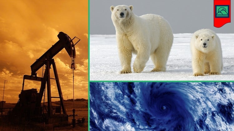 Read more about the article Climate Change Explained: Causes, Consequences and Solutions