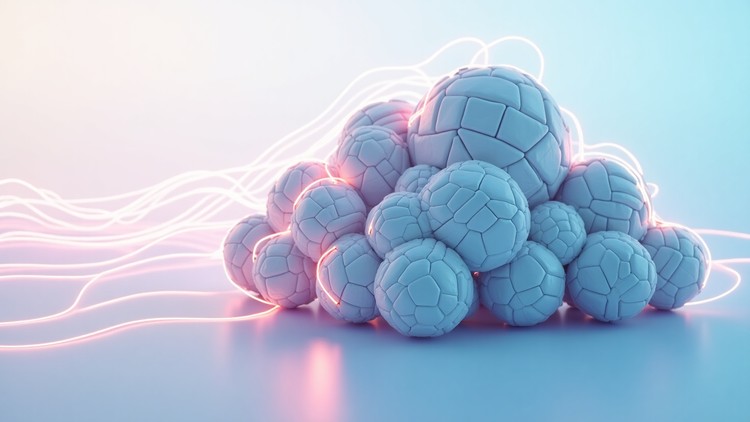 Google Professional Machine Learning Engineer – Mock Exams