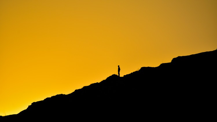 Read more about the article Life Purpose Life Coach Course: Success and Transformation