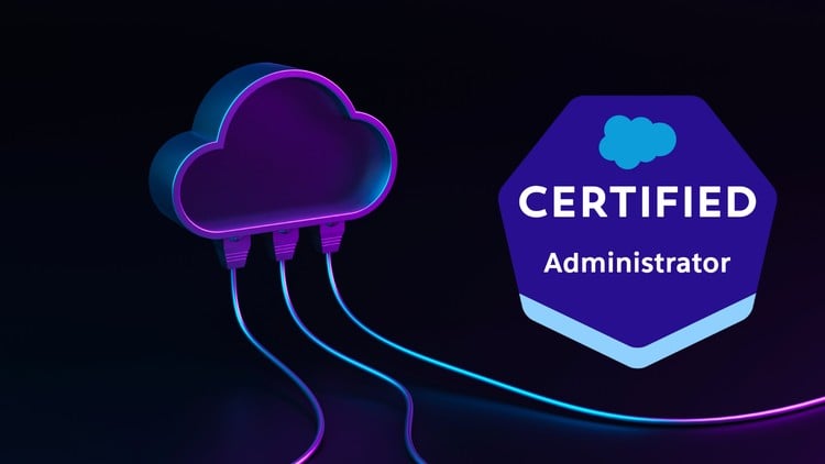 Salesforce Administrator ADM-201 Mock Exams | 2024