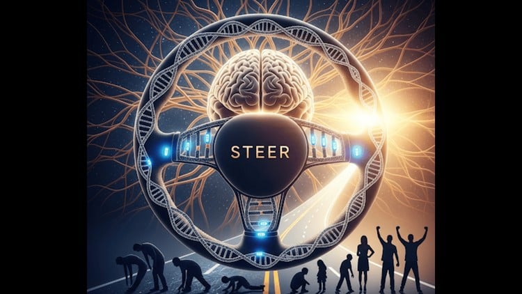 Read more about the article Success Through Emotionally Empowered Re-Envisioning (STEER)