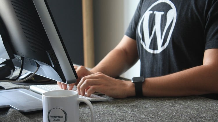 Read more about the article WordPress